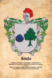 Escudo heráldico del apellido SOUTO