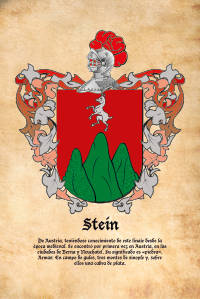 Escudo heráldico del apellido STEIN