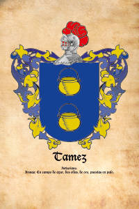 Escudo heráldico del apellido TAMEZ