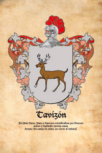 Escudo heráldico del apellido TAVIZON