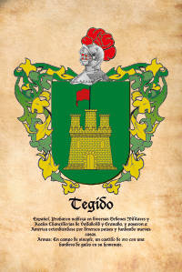 Escudo heráldico del apellido TEGIDO