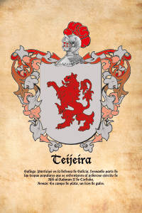 Escudo heráldico del apellido TEIJEIRA