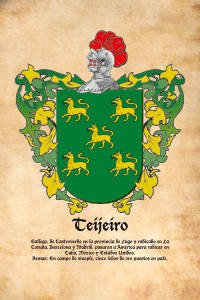 Escudo heráldico del apellido TEIJEIRO