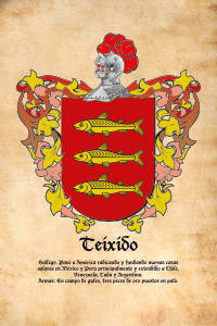 Escudo heráldico del apellido TEIXIDO