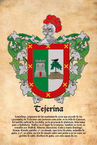 Escudo heráldico del apellido TEJERINA