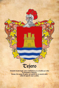 Escudo heráldico del apellido TEJERO