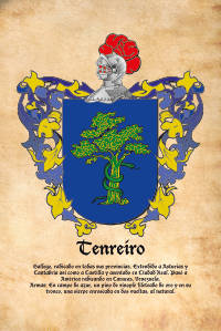 Escudo heráldico del apellido TENREIRO