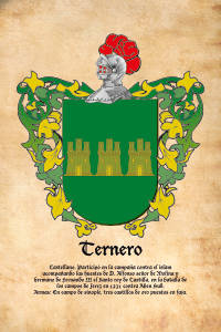 Escudo heráldico del apellido TERNERO