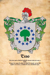 Escudo heráldico del apellido TESO
