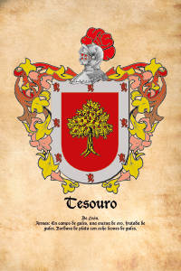 Escudo heráldico del apellido TESOURO