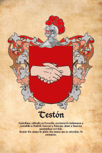 Escudo heráldico del apellido TESTÓN