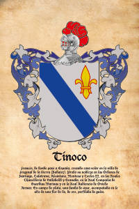 Escudo heráldico del apellido TINOCO
