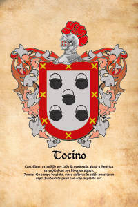 Escudo heráldico del apellido TOCINO