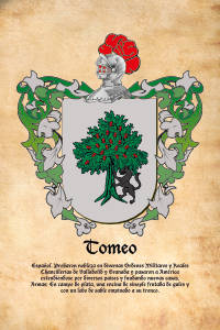 Escudo heráldico del apellido TOMEO