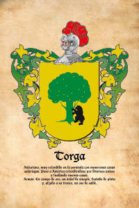 Escudo heráldico del apellido TORGA