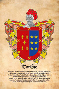 Escudo heráldico del apellido TORIBIO