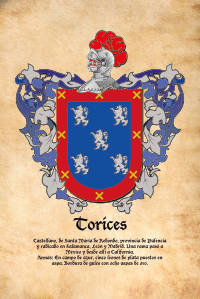 Escudo heráldico del apellido TORICES
