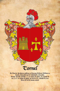 Escudo heráldico del apellido TORNEL