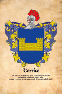 Escudo heráldico del apellido TORRICO
