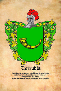 Escudo heráldico del apellido TORRUBIA