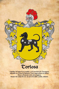 Escudo heráldico del apellido TORTOSA