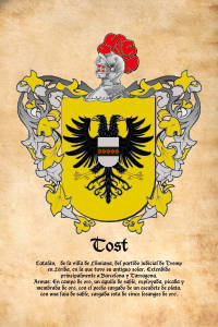 Escudo heráldico del apellido TOST