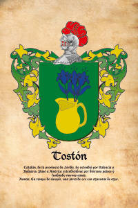 Escudo heráldico del apellido TOSTON