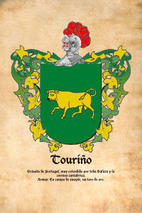 Escudo heráldico del apellido TOURIÑO