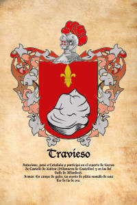 Escudo heráldico del apellido TRAVIESO