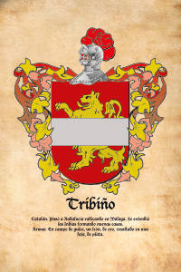 Escudo heráldico del apellido TRIBIÑO