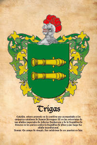 Escudo heráldico del apellido TRIGAS
