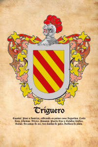 Escudo heráldico del apellido TRIGUERO
