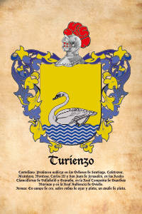 Escudo heráldico del apellido TURIENZO