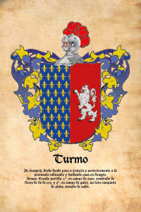 Escudo heráldico del apellido TURMO
