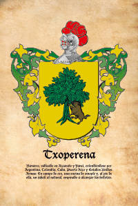 Escudo heráldico del apellido TXOPERENA
