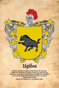 Escudo heráldico del apellido UGIDOS