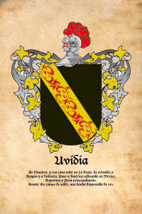 Escudo heráldico del apellido Uvidia