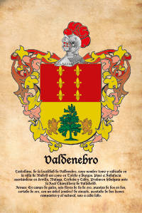 Escudo heráldico del apellido VALDENEBRO