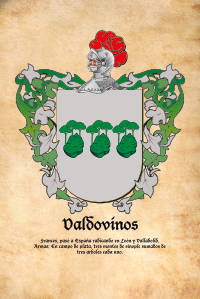 Escudo heráldico del apellido VALDOVINOS