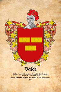 Escudo heráldico del apellido VALES