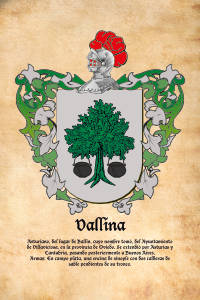 Escudo heráldico del apellido VALLINA