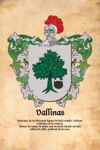 Escudo heráldico del apellido VALLINAS