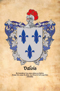 Escudo heráldico del apellido VALOIS