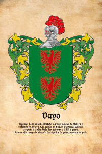 Escudo heráldico del apellido VAYO