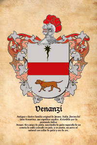 Escudo heráldico del apellido VENANZI