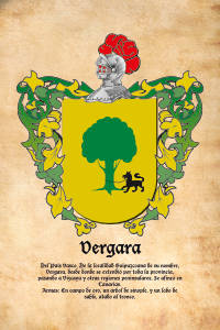 Escudo heráldico del apellido VERGARA