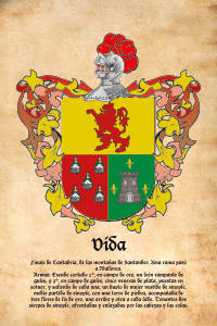 Escudo heráldico del apellido VIDA