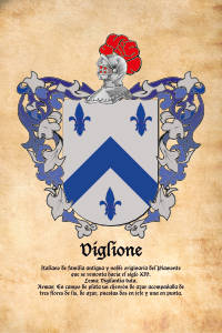 Escudo heráldico del apellido VIGLIONE