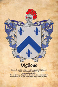 Escudo heráldico del apellido VIGLIONO