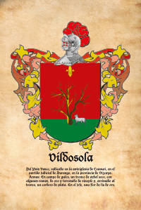 Escudo heráldico del apellido VILDOSOLA